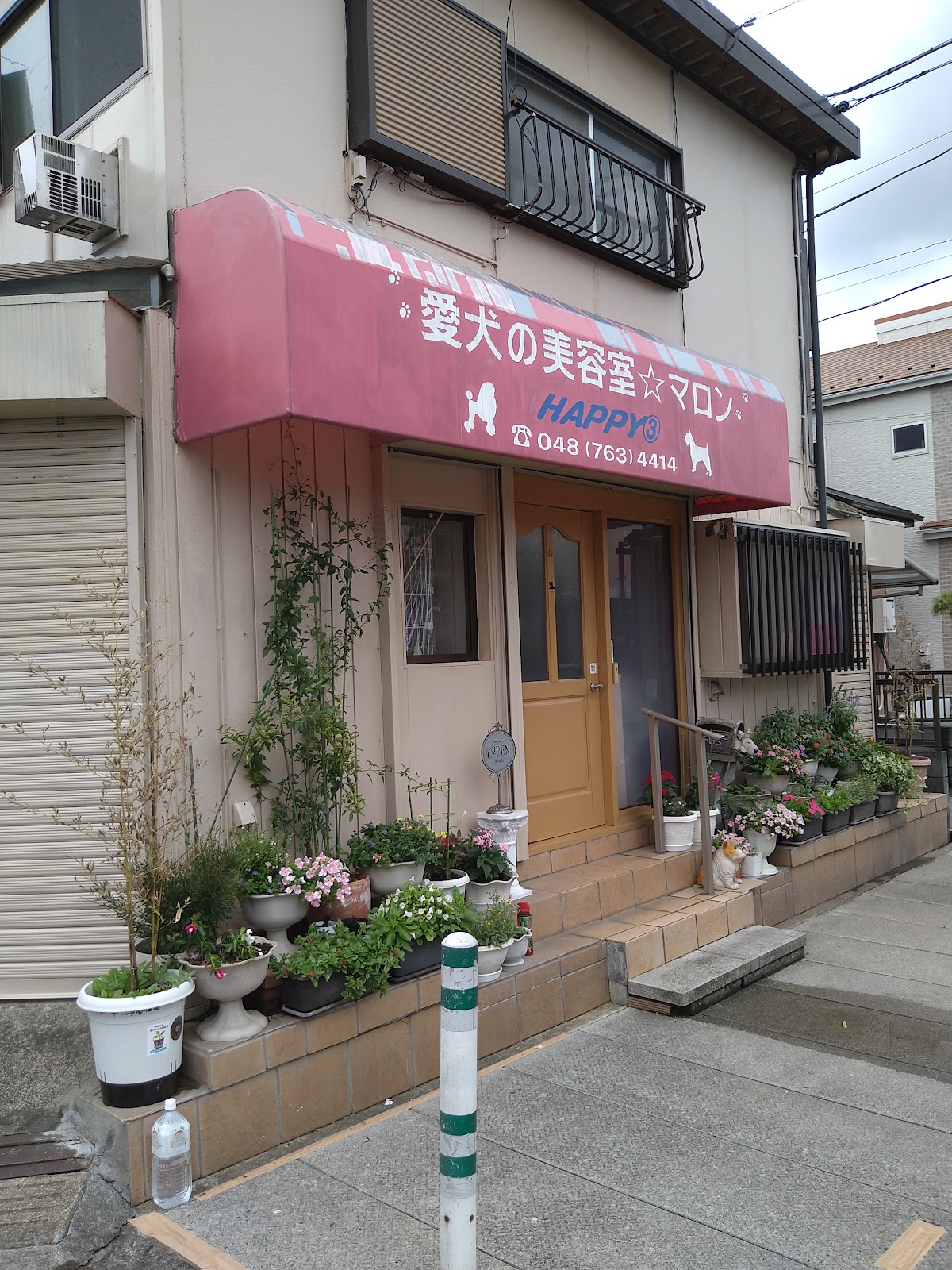 ペットサロン マロンの店内